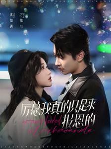 厉总我真的只是来报恩的 第81-100集完结(大结局)