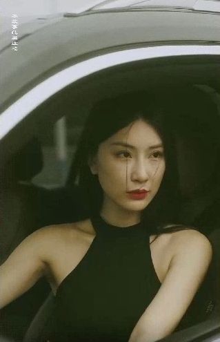 特工凤凰（绝色特工） 第21-40集