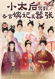 小太后驾到，各宫嫔妃莫嚣张(全集)