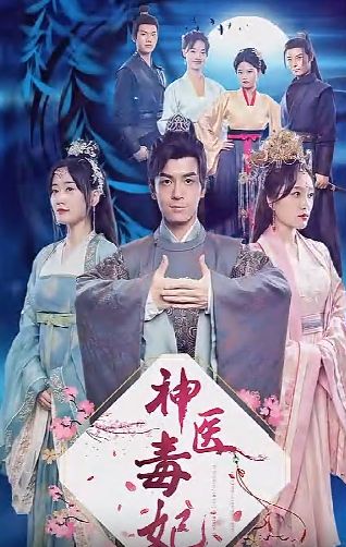 神医毒妃 第41-60集