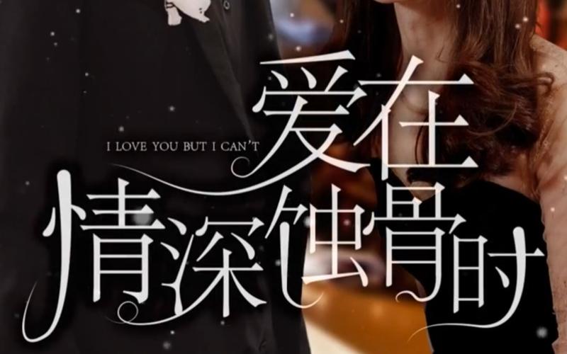 爱在情深蚀骨时 第61-80集