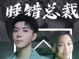 睡错总裁狂宠妻 第41-60集