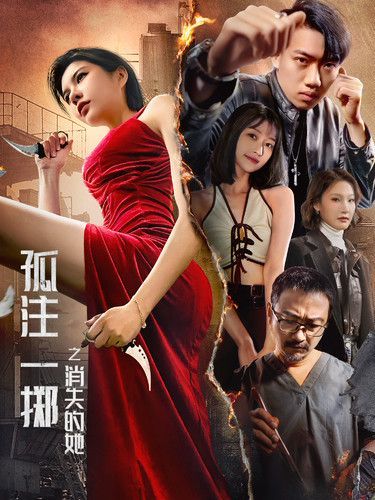 孤注一掷之消失的她 第61-72集完结(大结局)