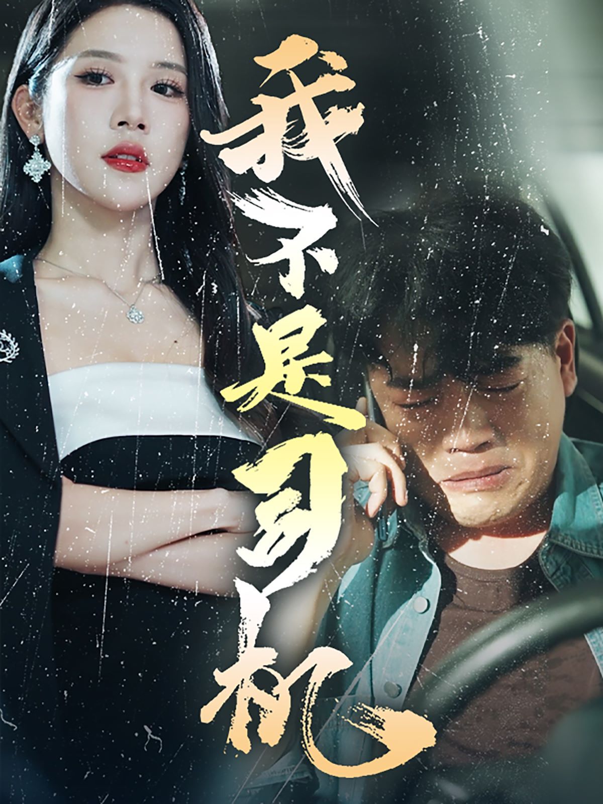 我不是司机 第21-40集