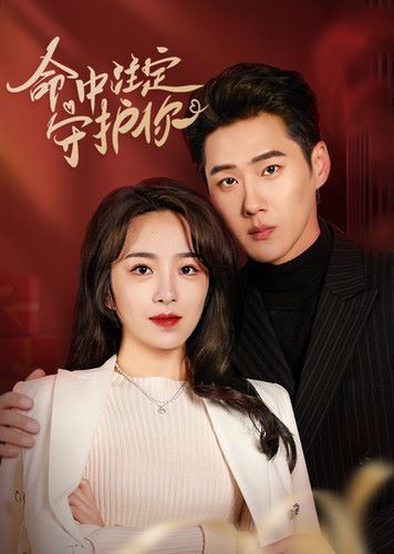 命中注定守护你 第41-60集