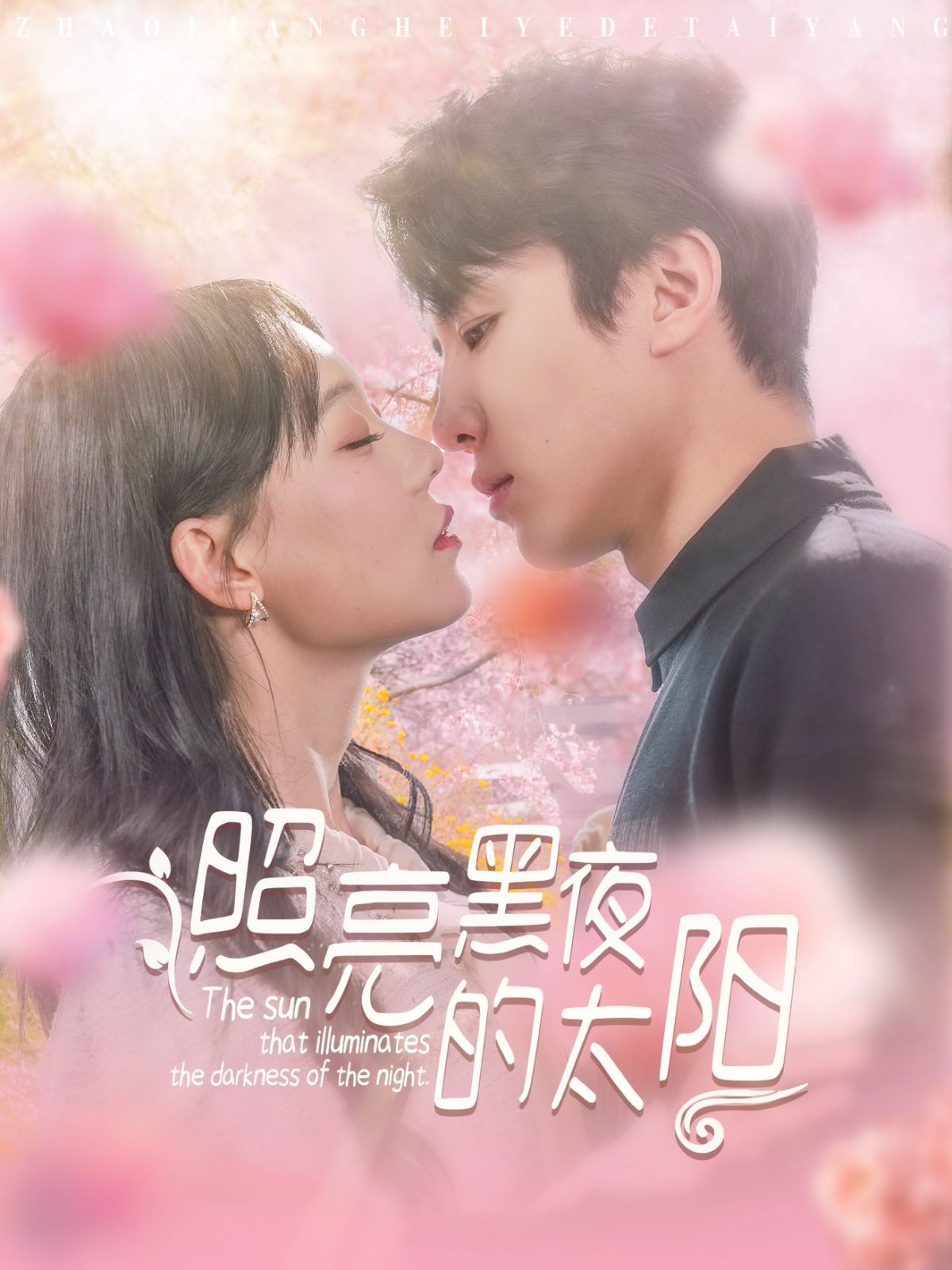 照亮黑夜的太阳 第1-20集