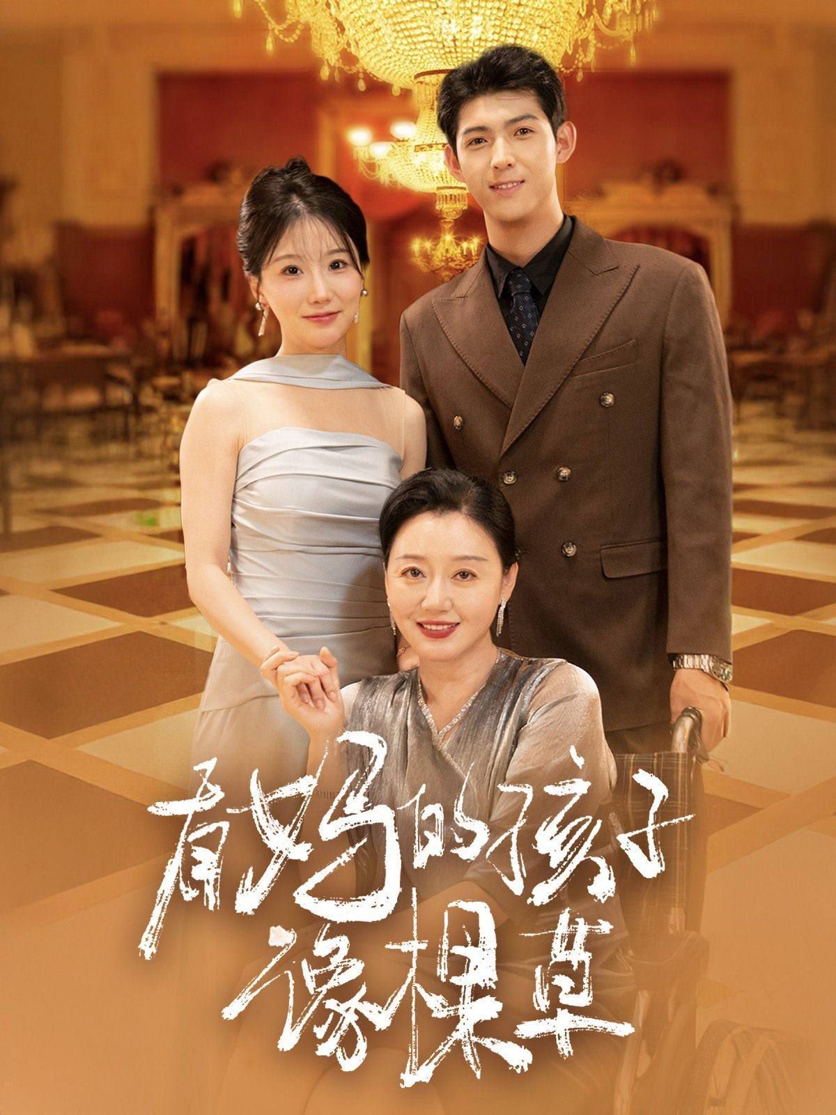 有妈的孩子像棵草 第41-66集完结(大结局)