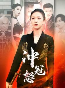 冲冠怒 第21-40集