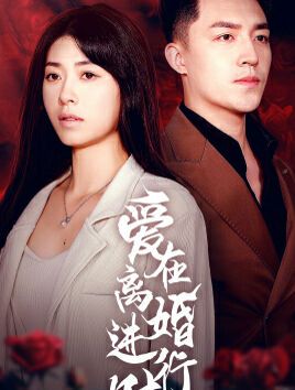 爱在离婚进行时 第21-40集