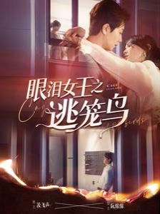 眼泪女王之逃笼鸟 第41-60集