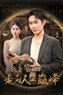 我靠鉴宝走向人生巅峰 第21-40集完结(大结局)