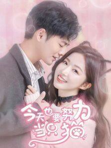 今天也要努力当只猫 第03集