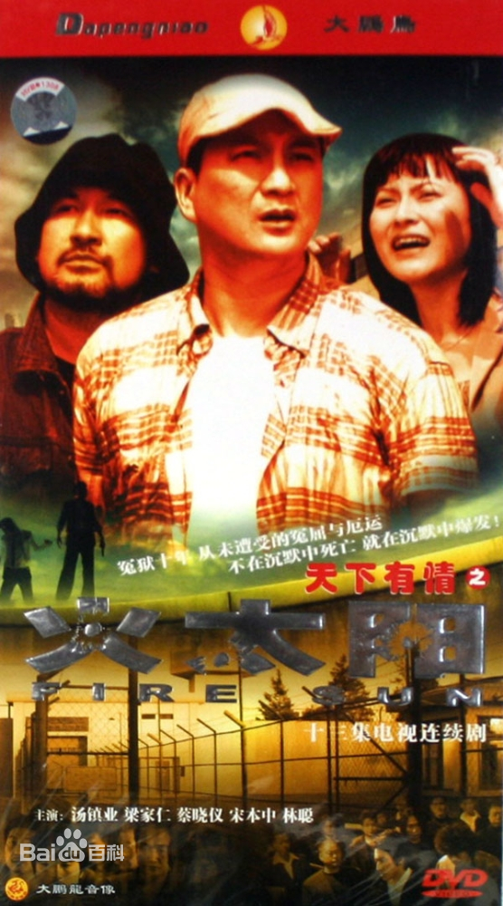 天下有情之火太阳 第2集